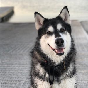 Meet your Posher, Jody